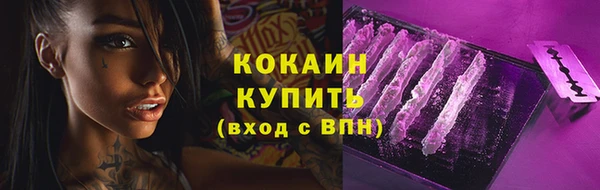 сатива Кодинск