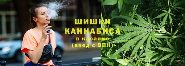 сатива Кодинск