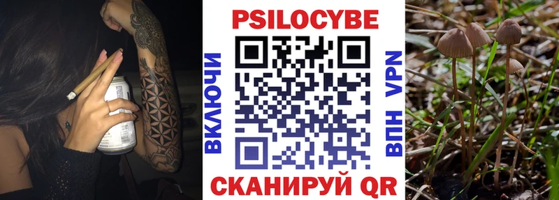 Галлюциногенные грибы мицелий  Кяхта 